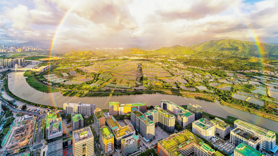 粤港澳三地代表委员共话大湾区发展